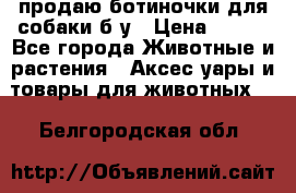 продаю ботиночки для собаки б/у › Цена ­ 600 - Все города Животные и растения » Аксесcуары и товары для животных   . Белгородская обл.